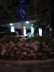 總會(huì)遇見的