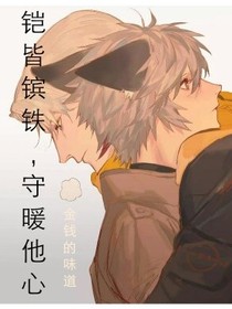 铠皆镔铁，守暖他心——d189