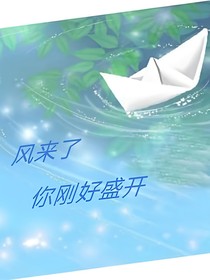 风来了，你刚好盛开