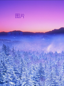 多分类图片