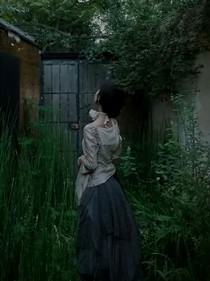 雏菊童话……