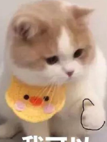 求圖的