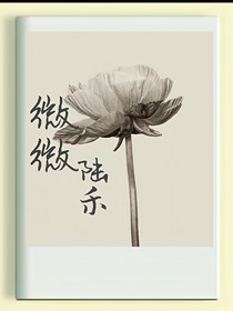 微微陸禾