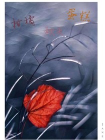 柑橘蛋糕