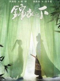 锦衣之下：大人回来了
