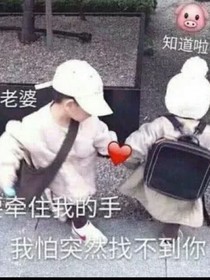 脑公，我错了