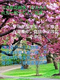 佚名小诗