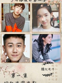 少年派四小只