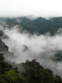 情深深霧迷茫