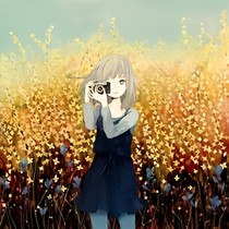 四季為照