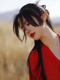 顧錦素材庫