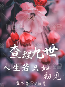 查理九世：人生若只如初见-d711