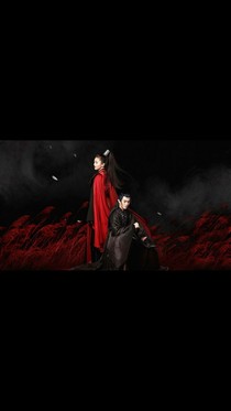 復(fù)仇至尊