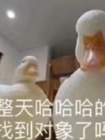 日常沙雕生活