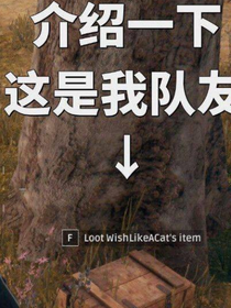 吃鸡快递员的日常