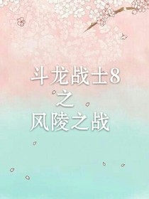 斗龙战士之风陵之战