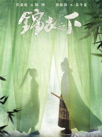锦衣之下霸道总裁2