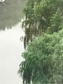 神界绝世小日常（霍雨浩和唐舞桐）