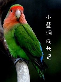 小蓝羽成长记