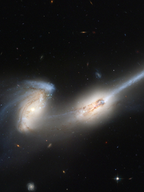 星期八丶歸零-d244