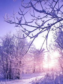陳情令之沉冤得雪