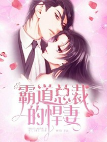 霸道总裁的悍妻
