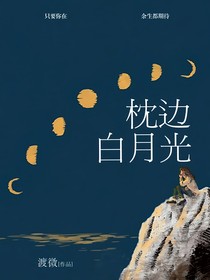 枕边白月光