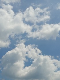 晓镜愁云鬓改