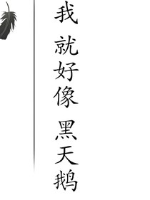 我就好像黑天鵝（主更）