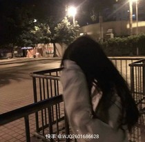 重生之我穿越到了葉羅麗