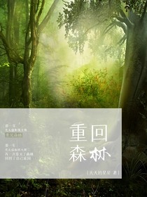 熊出沒之重回森林-d495