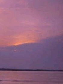 追星日记……
