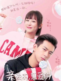 亲爱的热爱的2之童颜夫妇