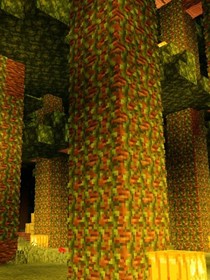 minecraft一叢林深處