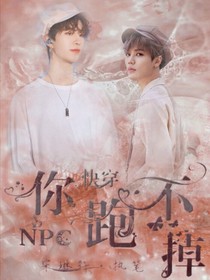NPC：快穿你跑不掉