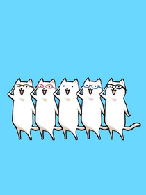 二喵正传