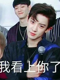 朴灿烈：我看上你了