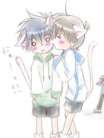 团宠猫女柯