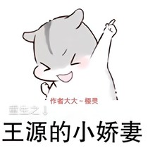 重生之王源的小娇妻