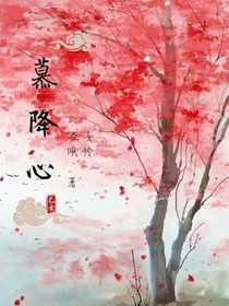 慕降心录