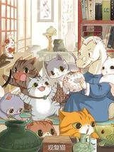 观复猫小日常