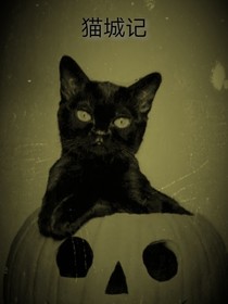 猫城记