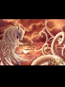 陰陽貓女