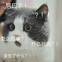 bb王大冒险