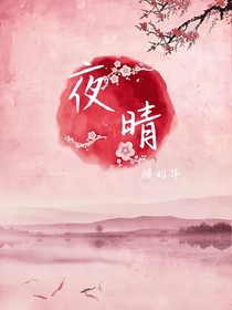夜晴