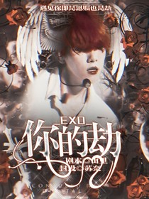EXO之你的劫-d311