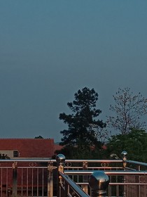 晴空一鹤排云上