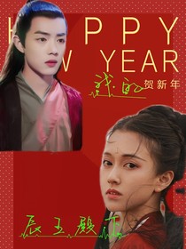 我的辰王殿下！