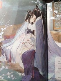 煬王霸寵：冷妃殺天下