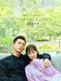 亲爱的，热爱的（二季）